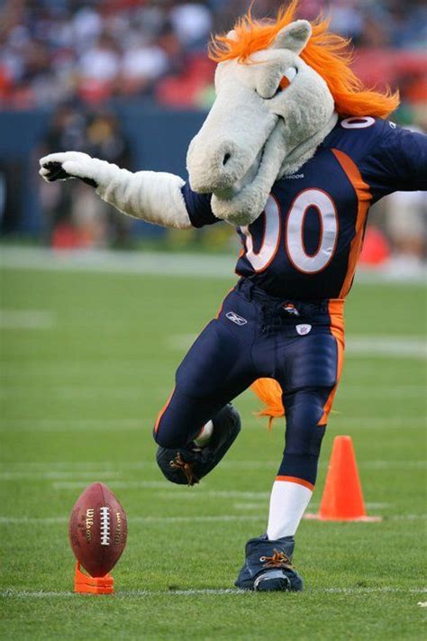 Mascot for the Broncos